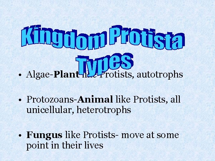  • Algae-Plant like Protists, autotrophs • Protozoans-Animal like Protists, all unicellular, heterotrophs •