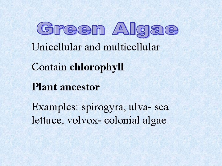 Unicellular and multicellular Contain chlorophyll Plant ancestor Examples: spirogyra, ulva- sea lettuce, volvox- colonial