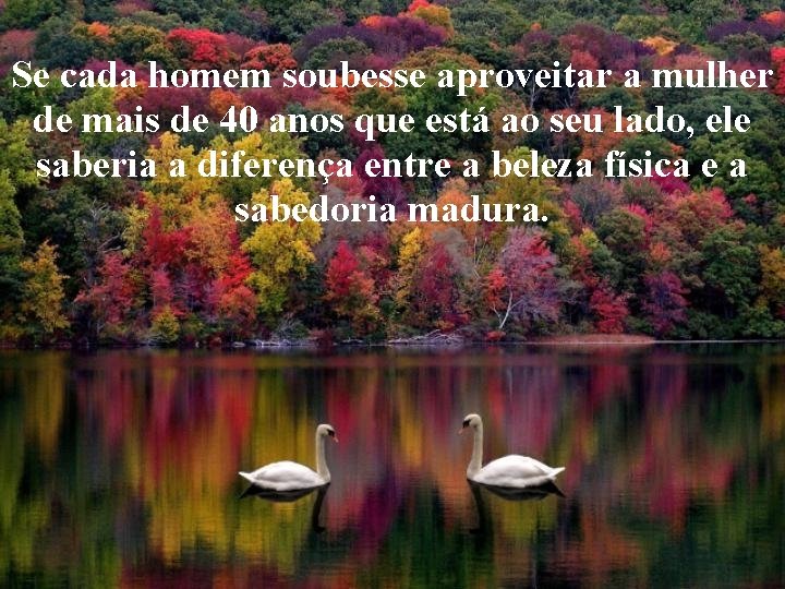 Se cada homem soubesse aproveitar a mulher de mais de 40 anos que está