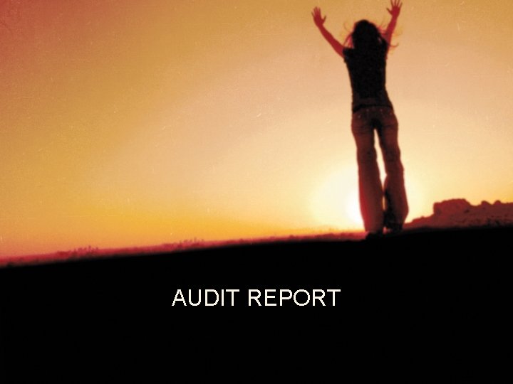 AUDIT REPORT 