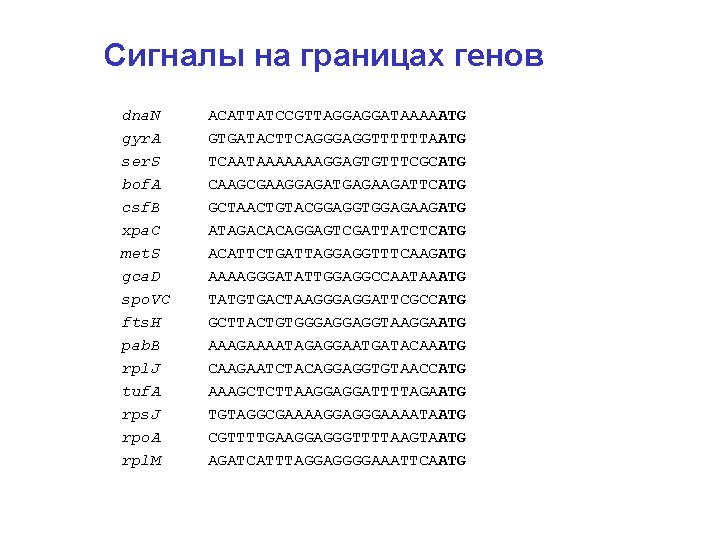 Сигналы на границах генов dna. N gyr. A ser. S bof. A csf. B