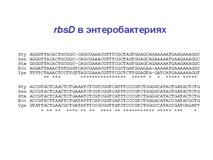 rbs. D в энтеробактериях Sty Sen Stm Eco Ype AGGGTTACACTGCGGC-CAGCGAAACGTTTCGCTAGTGGAGCAGAAAAATGAAGAAAGGC GGGGTTACACTGCGGC-CAGCGAAACGTTTCGCTAGTGGAGCAGAAAAATGAAGAAAGGC AGGATTAAACTGTGGGTCAGCGAAACGTTTCGCTGATGGAGAA-AAAAATGAAAAAAGGC TTTTCTAAACTCCTTGTTAGCGAAACGTTTCGCTCTTGGAGTA-GATCATGAAAAAAGGT **