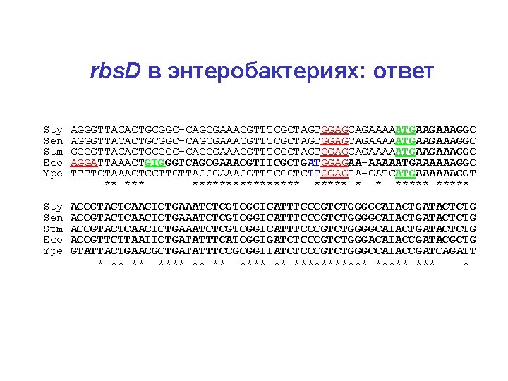 rbs. D в энтеробактериях: ответ Sty Sen Stm Eco Ype AGGGTTACACTGCGGC-CAGCGAAACGTTTCGCTAGTGGAGCAGAAAAATGAAGAAAGGC GGGGTTACACTGCGGC-CAGCGAAACGTTTCGCTAGTGGAGCAGAAAAATGAAGAAAGGC AGGATTAAACTGTGGGTCAGCGAAACGTTTCGCTGATGGAGAA-AAAAATGAAAAAAGGC TTTTCTAAACTCCTTGTTAGCGAAACGTTTCGCTCTTGGAGTA-GATCATGAAAAAAGGT