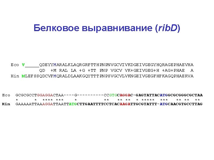 Белковое выравнивание (rib. D) Eco V_____QDEYYMARALKLAQRGRFTTHPNPNVGCVIVKDGEIVGEGYHQRAGEPHAEVHA QD +M RAL LA +G +TT PNP VGCV