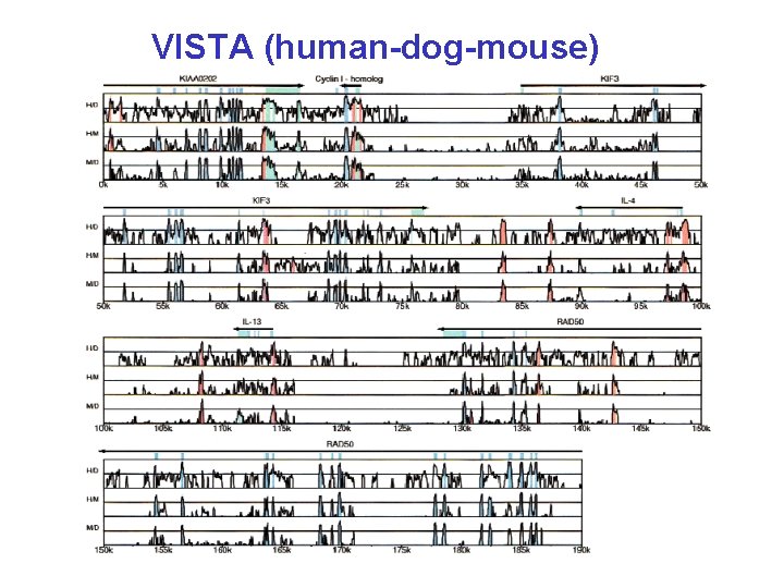 VISTA (human-dog-mouse) 