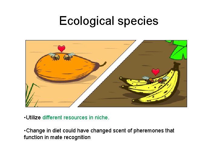 Ecological species • Utilize different resources in niche. • Change in diet could have