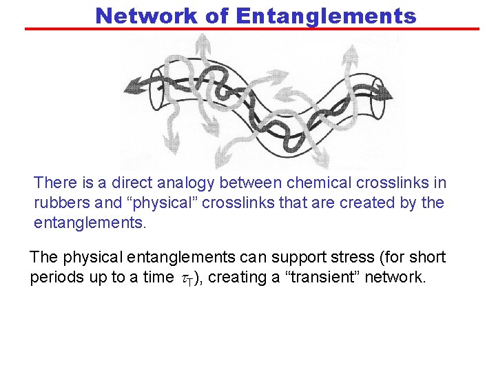 Network of Entanglements There is a direct analogy between chemical crosslinks in rubbers and