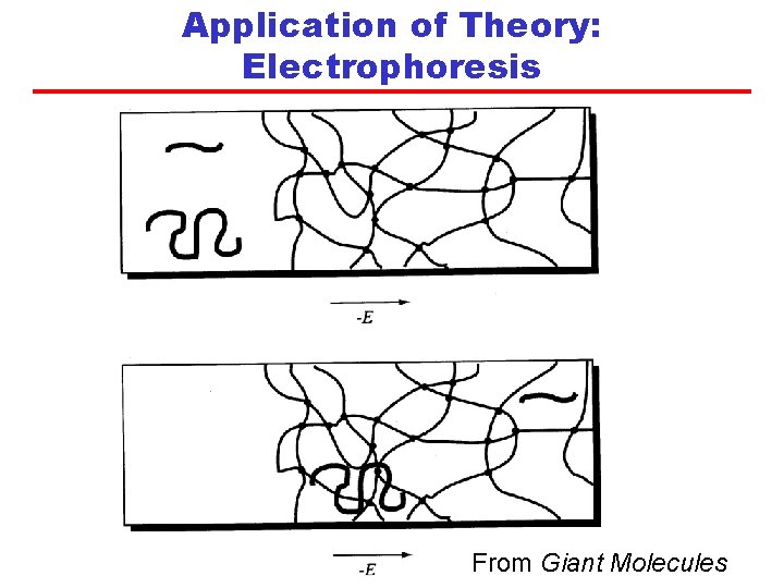 Application of Theory: Electrophoresis From Giant Molecules 