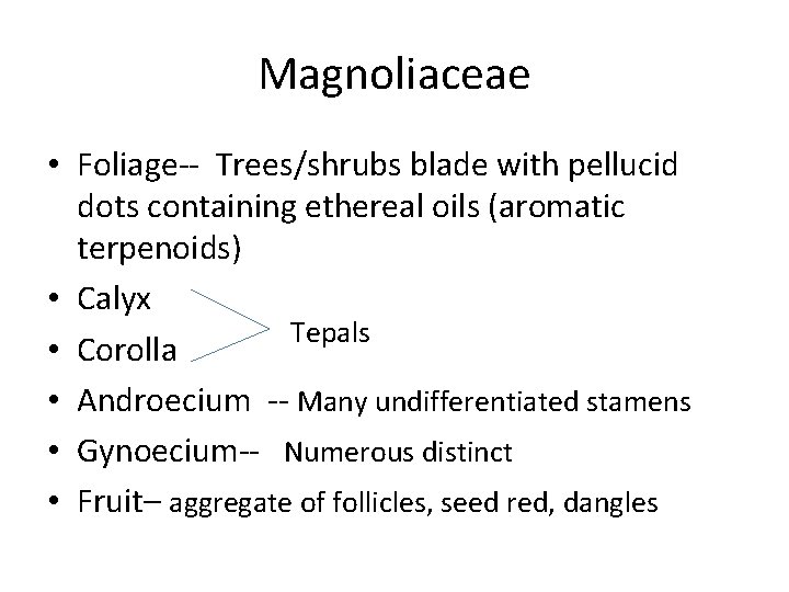 Magnoliaceae • Foliage-- Trees/shrubs blade with pellucid dots containing ethereal oils (aromatic terpenoids) •