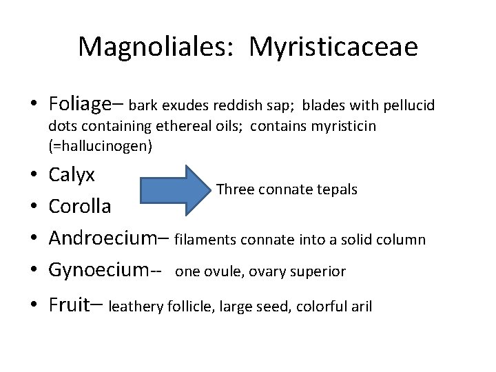 Magnoliales: Myristicaceae • Foliage– bark exudes reddish sap; blades with pellucid dots containing ethereal