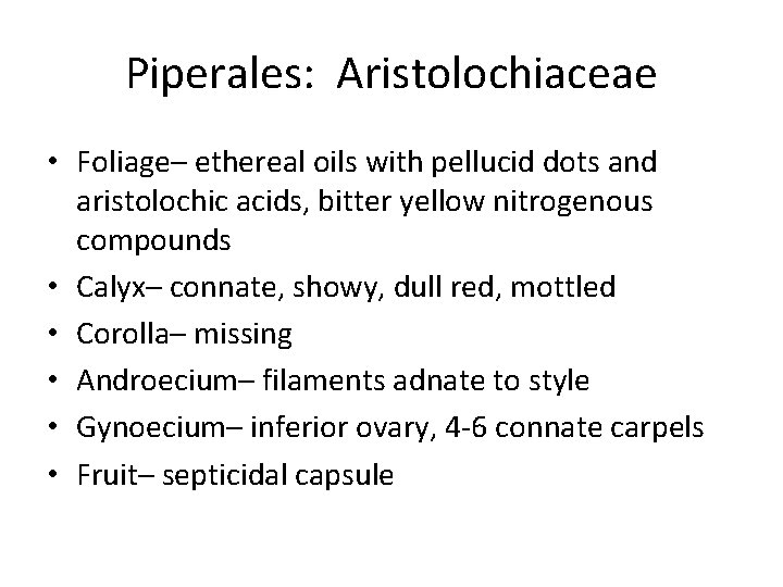 Piperales: Aristolochiaceae • Foliage– ethereal oils with pellucid dots and aristolochic acids, bitter yellow