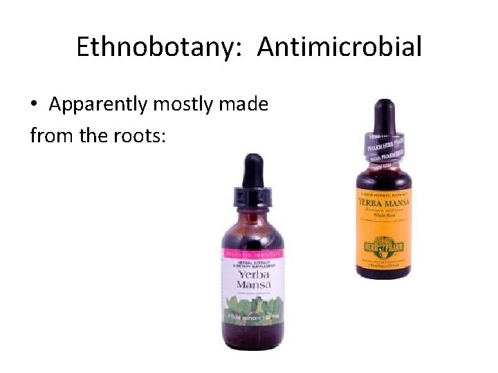 Ethnobotany: Antimicrobial • Apparently mostly made from the roots: 