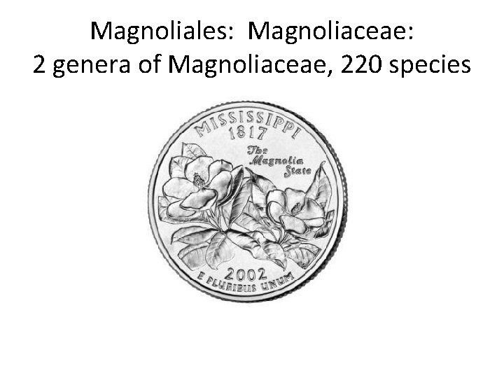 Magnoliales: Magnoliaceae: 2 genera of Magnoliaceae, 220 species 