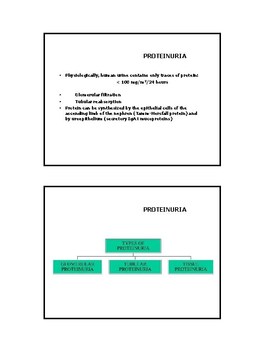 PROTEINURIA • Physiologically, human urine contains only traces of protein: < 100 mg/m 2/24