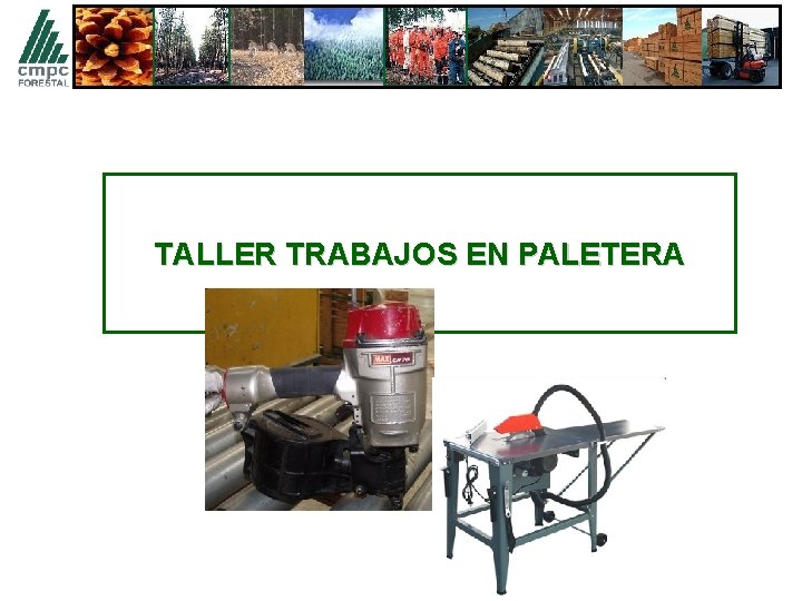 TALLER TRABAJOS EN PALETERA 