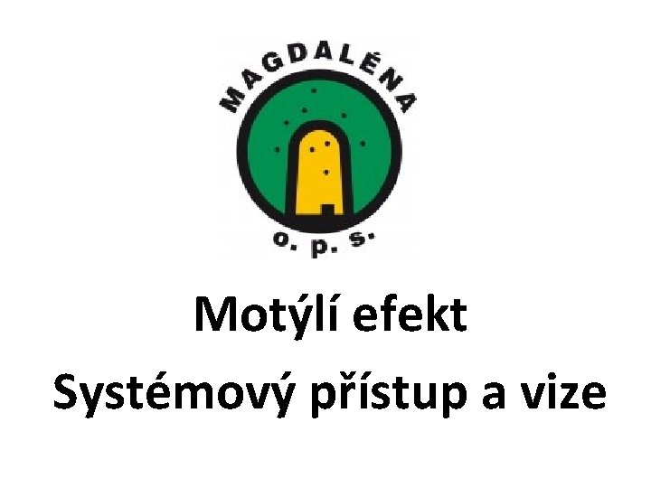 Motýlí efekt Systémový přístup a vize 