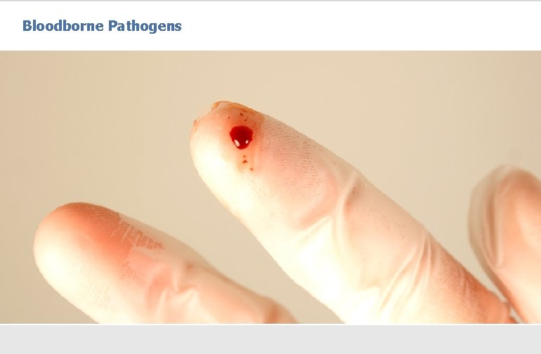 Bloodborne Pathogens 
