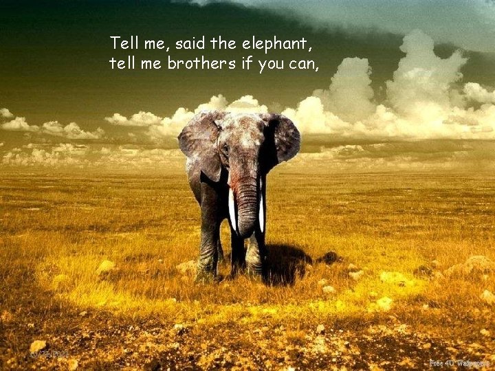 Tell me, said the elephant, tell me brothers if you can, 10/21/2021 