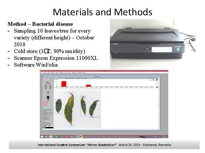 Materials and Methods Method – Bacterial disease - Sampling 10 leaves/tree for every variety