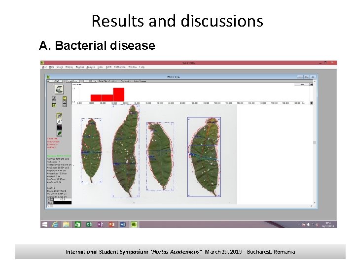 Results and discussions A. Bacterial disease International Student Symposium "Hortus Academicus“ March 29, 2019