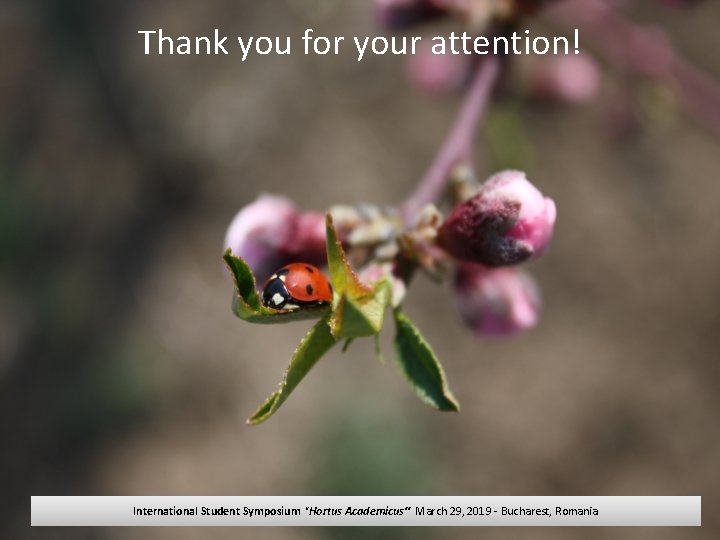 Thank you for your attention! International Student Symposium "Hortus Academicus“ March 29, 2019 -