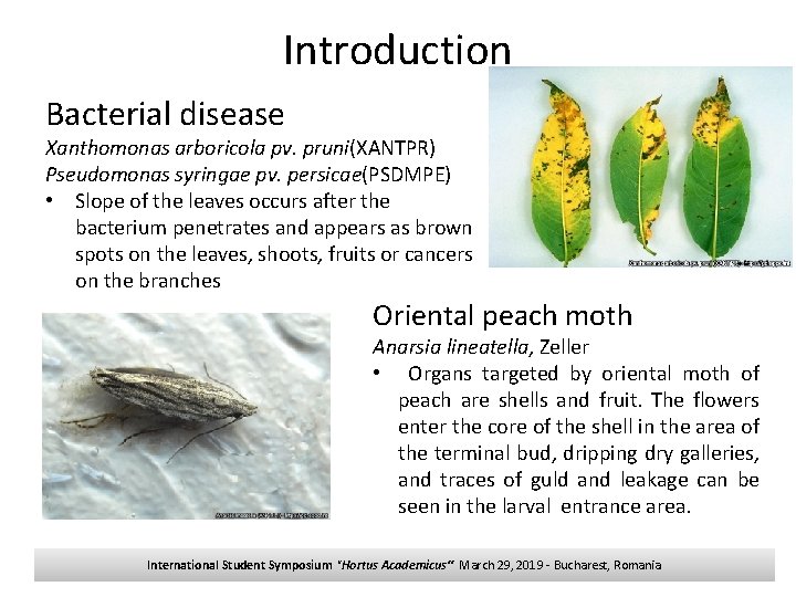 Introduction Bacterial disease Xanthomonas arboricola pv. pruni(XANTPR) Pseudomonas syringae pv. persicae(PSDMPE) • Slope of