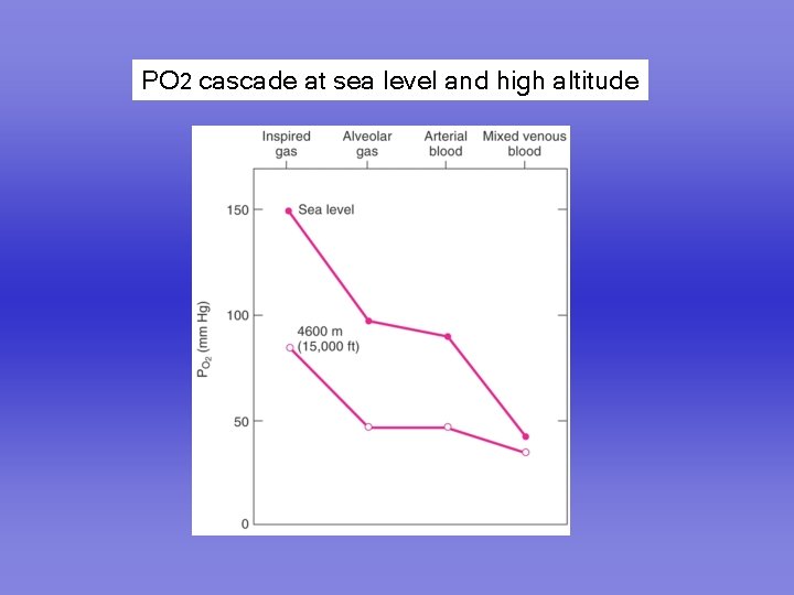 PO 2 cascade at sea level and high altitude 