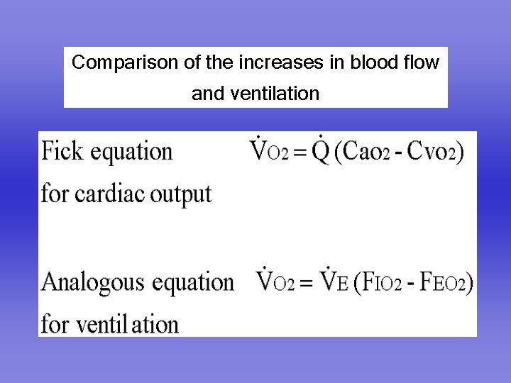 Comparison of the increases in blood flow and ventilation 