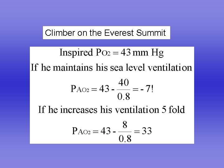 Climber on the Everest Summit 