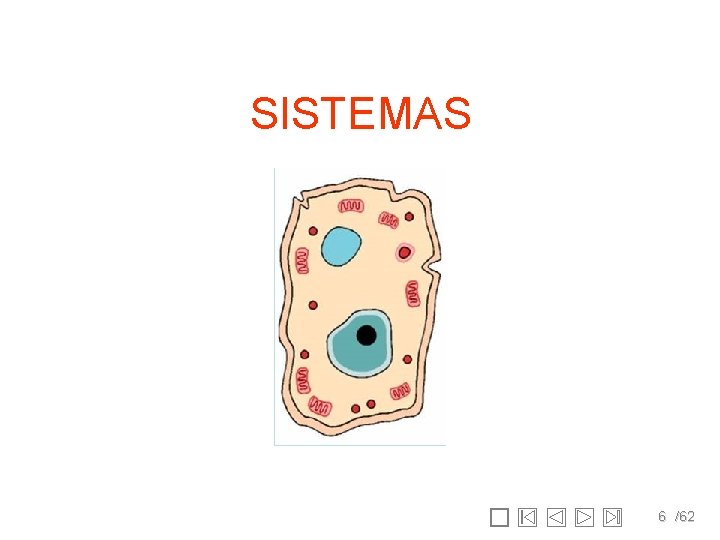 SISTEMAS 6 /62 