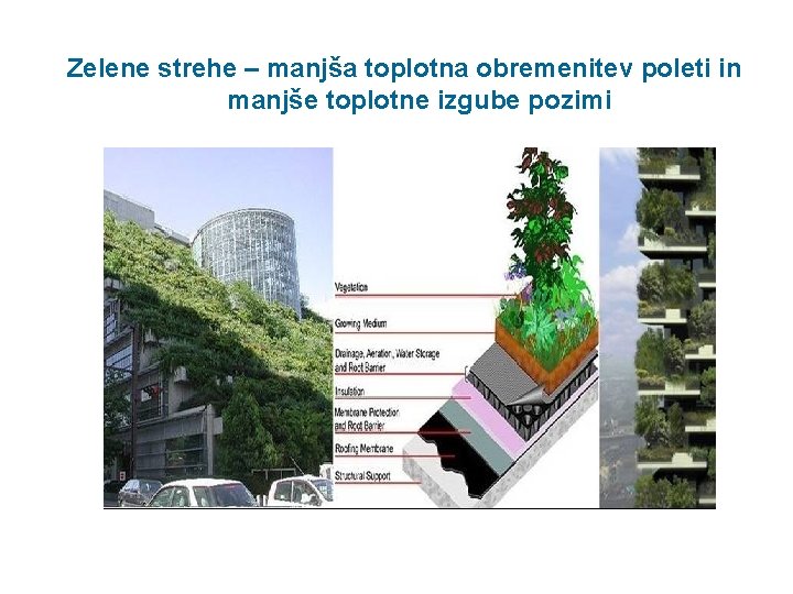 Zelene strehe – manjša toplotna obremenitev poleti in manjše toplotne izgube pozimi 