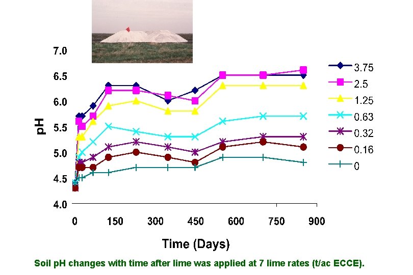 Soil p. H changes with time after lime was applied at 7 lime rates