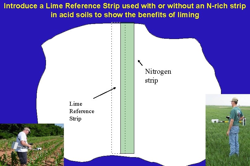 Introduce a Lime Reference Strip used with or without an N-rich strip in acid