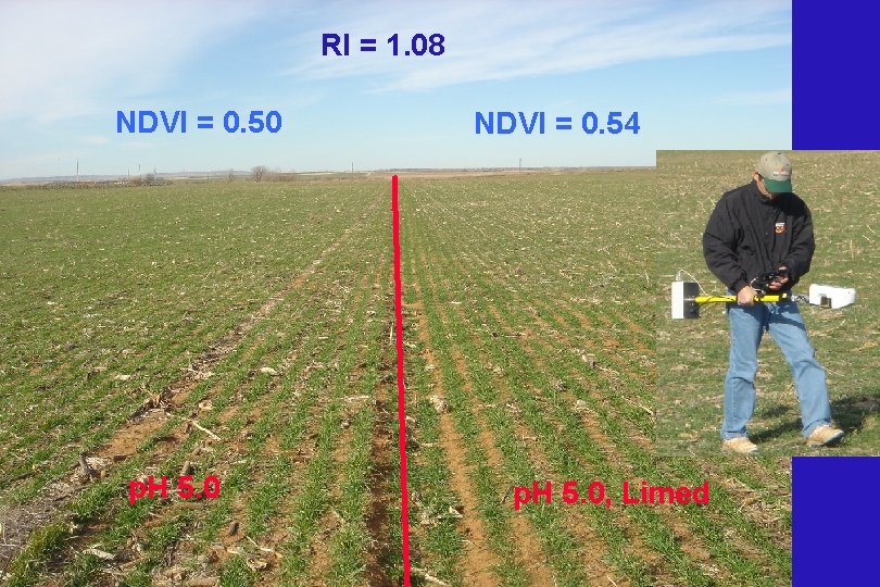 RI = 1. 08 NDVI = 0. 50 p. H 5. 0 NDVI =