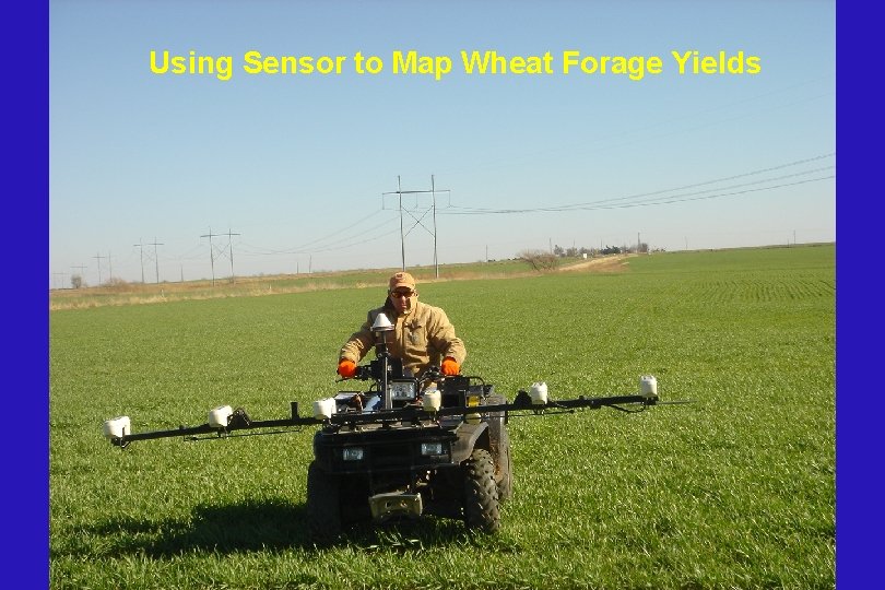 Using Sensor to Map Wheat Forage Yields 