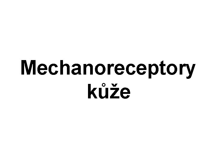 Mechanoreceptory kůže 