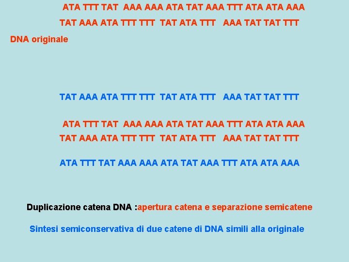 ATA TTT TAT AAA ATA TAT AAA TTT ATA AAA TAT AAA ATA TTT