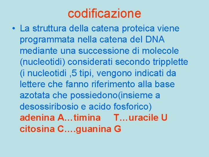 codificazione • La struttura della catena proteica viene programmata nella catena del DNA mediante