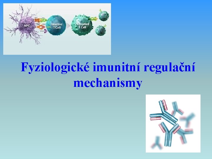 Fyziologické imunitní regulační mechanismy 
