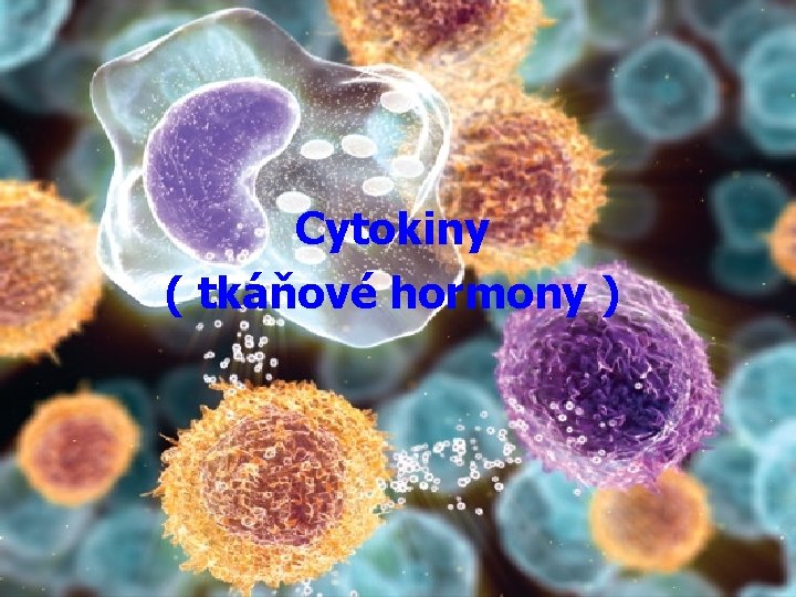 Cytokiny ( tkáňové hormony ) 