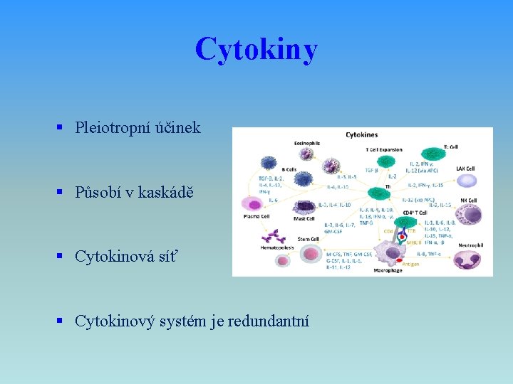 Cytokiny § Pleiotropní účinek § Působí v kaskádě § Cytokinová síť § Cytokinový systém