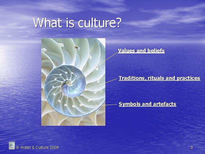 What is culture? Values and beliefs Traditions, rituals and practices Symbols and artefacts Water