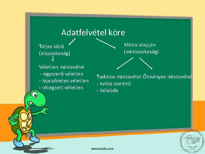 Adatfelvétel köre Teljes körű (alapsokaság) Véletlen mintavétel - egyszerű véletlen - lépcsőzetes véletlen -