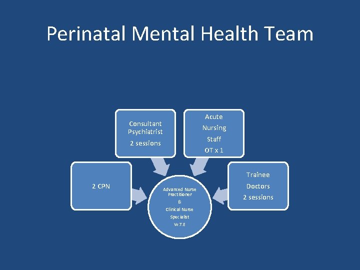 Perinatal Mental Health Team Acute Nursing Staff Consultant Psychiatrist 2 sessions 2 CPN OT