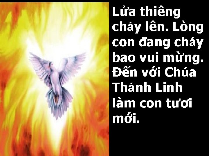 Lửa thiêng cháy lên. Lòng con đang cháy bao vui mừng. Đến với Chúa