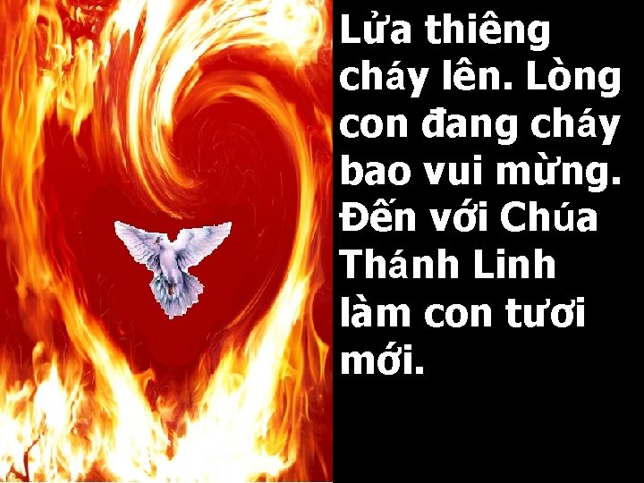 Lửa thiêng cháy lên. Lòng con đang cháy bao vui mừng. Đến với Chúa