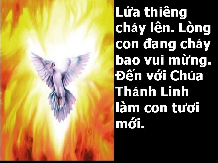 Lửa thiêng cháy lên. Lòng con đang cháy bao vui mừng. Đến với Chúa