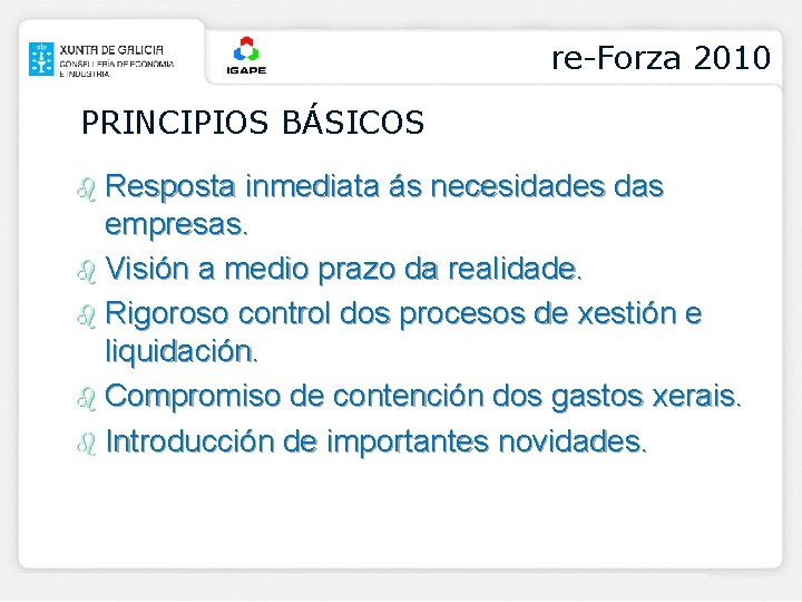 re-Forza 2010 PRINCIPIOS BÁSICOS b Resposta inmediata ás necesidades das empresas. b Visión a