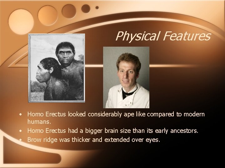 Physical Features • Homo Erectus looked considerably ape like compared to modern humans. •