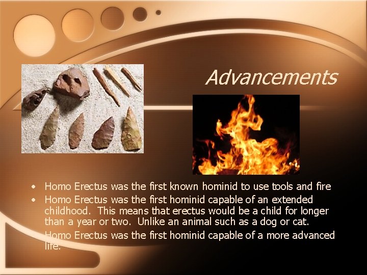 Advancements • Homo Erectus was the first known hominid to use tools and fire